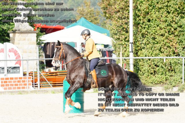 s_DSC04574.JPG
